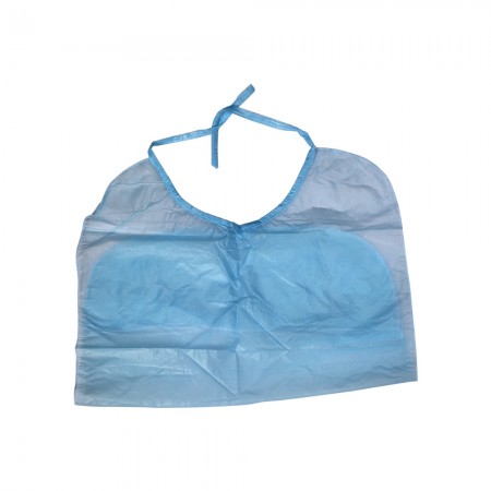 Disposable Adult Bibs (Set of 10 Pcs)