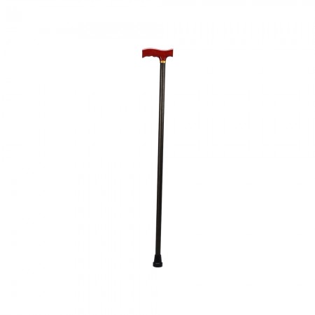 Fixed Walking Stick