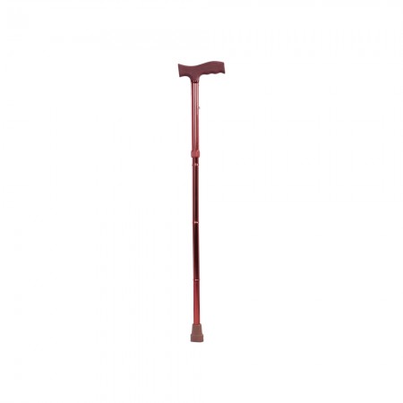 Folding Cane