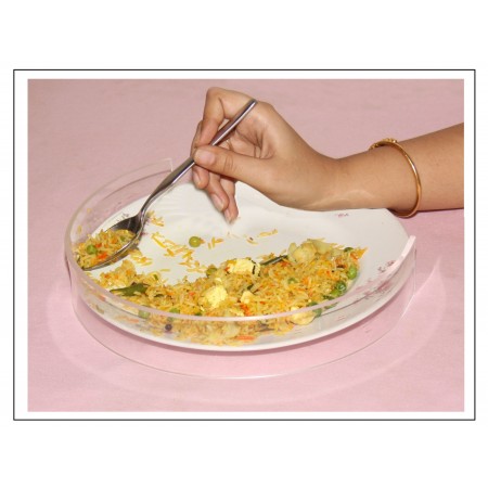 Food Plate Bumper