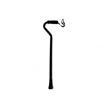 L'Handle Cane