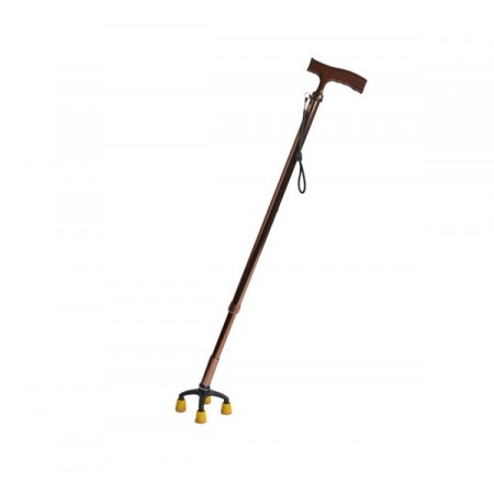 PALM SHAPE HANDLE CANE 