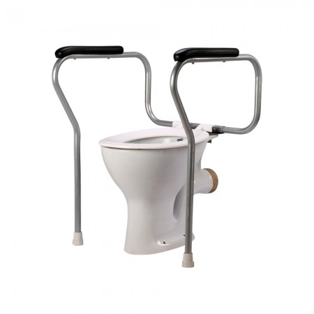 INVALID TOILET SAFETY RAI