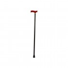 Fixed walking stick